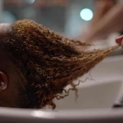 Silk Society at Cedar & Silk in Alexandria, VA